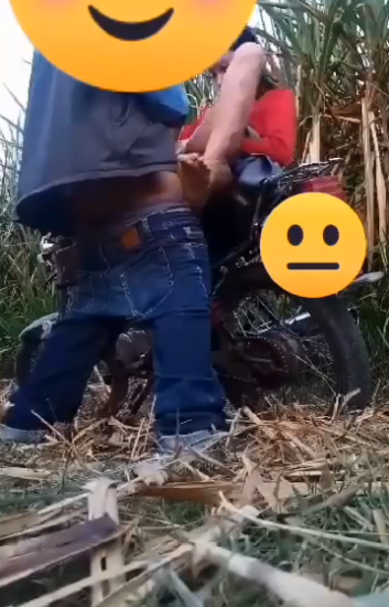 Di Kebun Jagung Sama Ayah Tiri