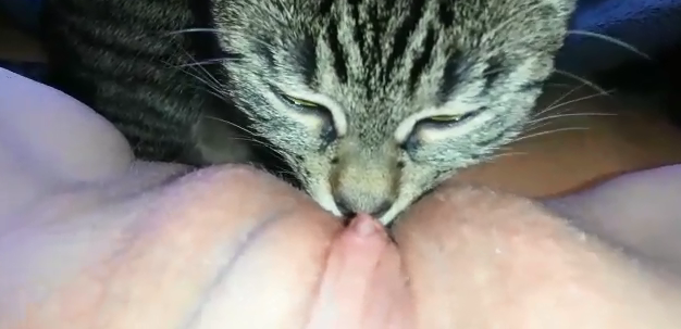 kucing aja suka apalagi kamu